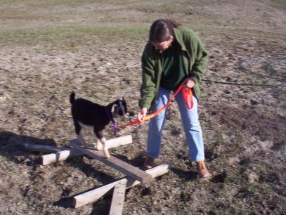 Noah on a balance beam