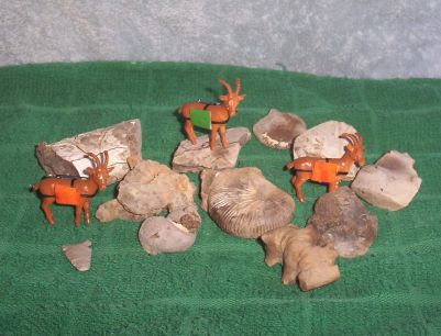 Pack Goat Fossil Scene