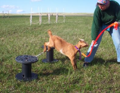 Esau clearing the spool jump