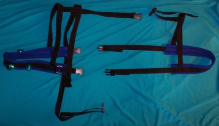 Black w/ Blue Padding Bell Harness