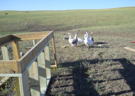 The Committee checking the construction