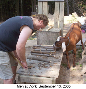 Working Goats - Front Page