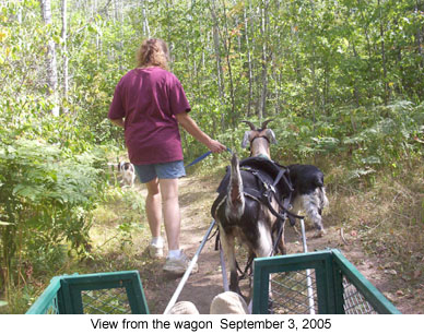 wagonview 2005-09-03.jpg